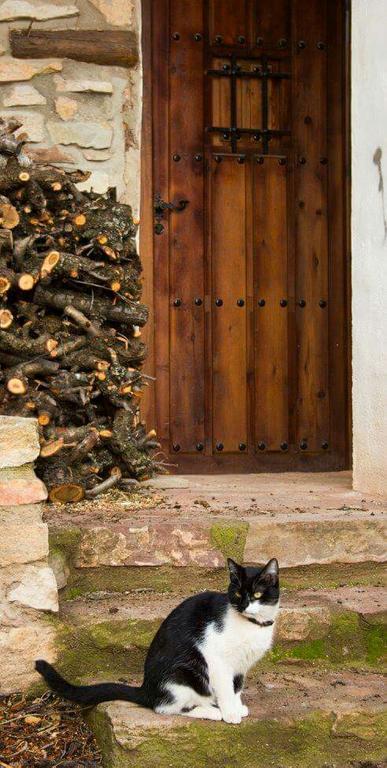 Casa Rural Los Lilos Gotor Ngoại thất bức ảnh